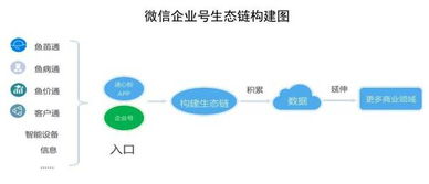 通威股份数字化转型 当水产巨头拥抱互联网数据服务